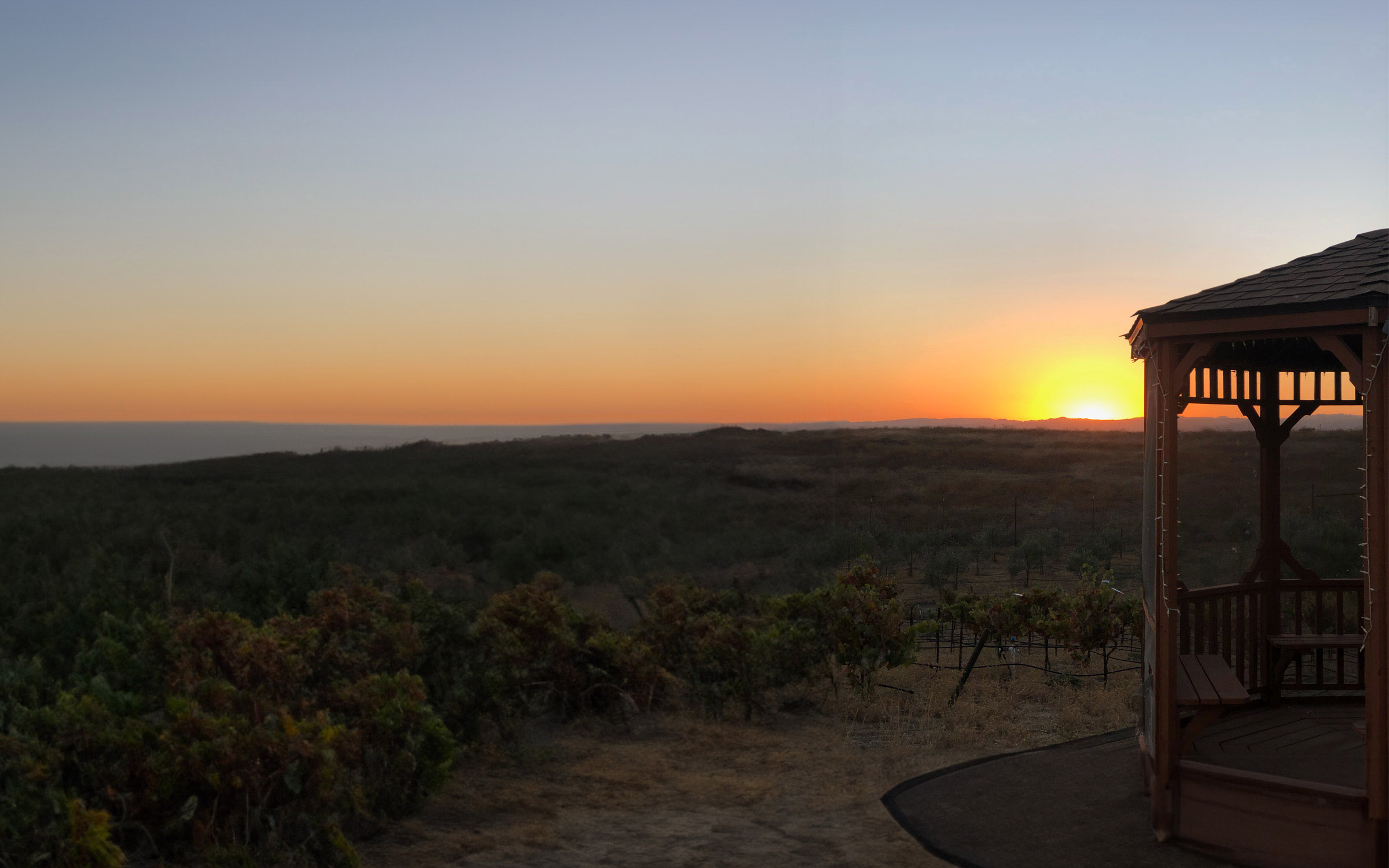 Stilson Cellars Paso Robles - Downtown Paso Robles winery and vineyard